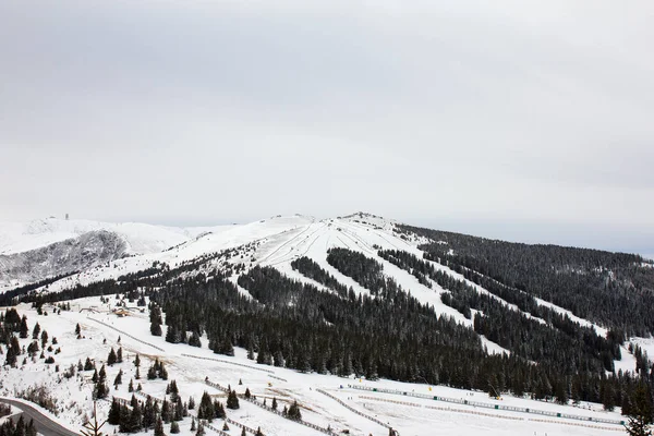 Ski Sur Une Weinebene Montagne Hiver Style — Photo