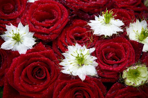 Ramo Boda Rosas Rojas — Foto de Stock