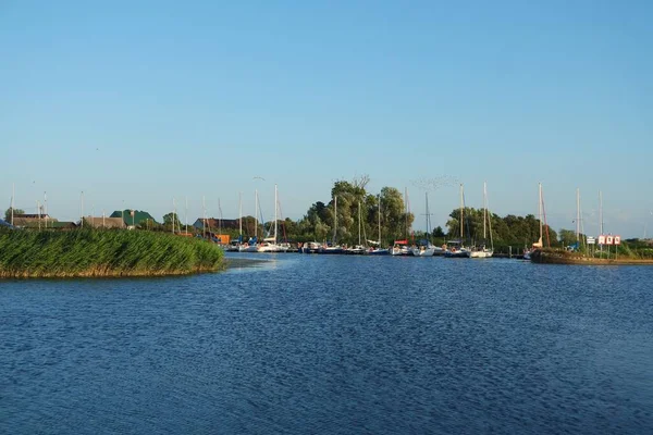 Пристань Спеціально Розроблена Гавань Болотами Розважальних Суден Невеликих Човнів — стокове фото