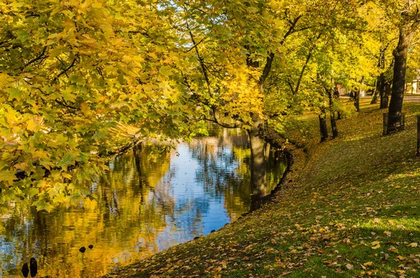 Beau Parc Automne Canal Riga — Photo
