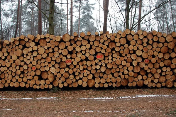 Landleben Selektiver Fokus — Stockfoto