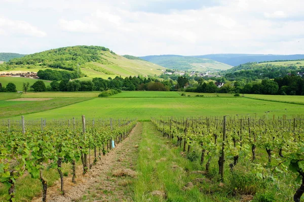 Mosel Kenar Vadisi Lieser Yakınlarında Uzak Mesafede Denizcilik Var — Stok fotoğraf