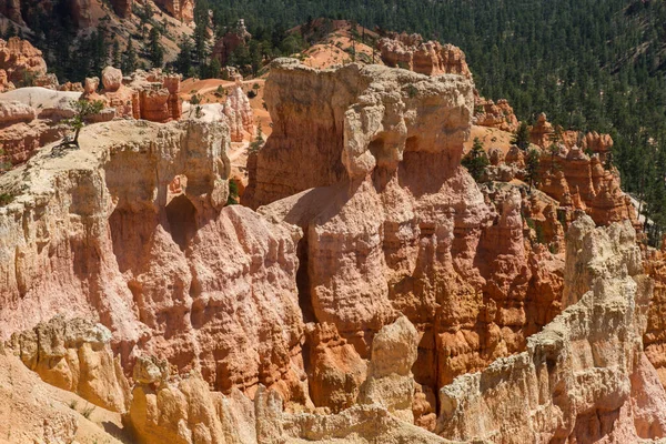 Seltsam Geformte Felsnadeln Bryce Canyon Nationalpark Utah Usa — Stock Photo, Image