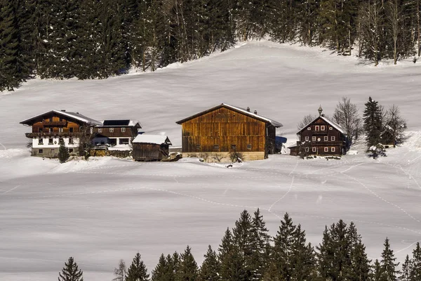 Paisagem Inverno Nos Alpes Austríacos Salzkammergut Perto Filzmoos — Fotografia de Stock