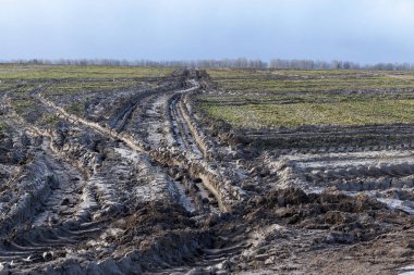 Agricultural field on which drove heavy vehicles. Ruts from the wheels in the mud, formed after the rain. Photo closeup. clipart