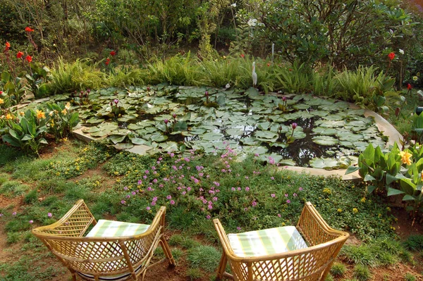 Prachtig Uitzicht Natuur — Stockfoto