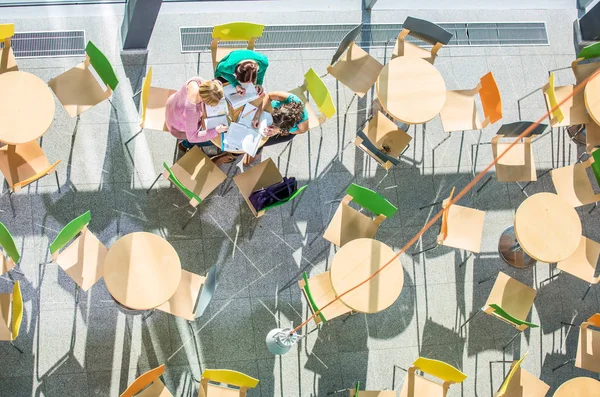 Group of university students studying hard for an exam in a lovely bright sunlit studying room/library