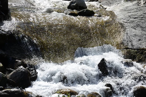 Ruscello Ruscello Montagna Ruscello Selvaggio Acqua Acque Cristalline Montagna Alte — Foto Stock