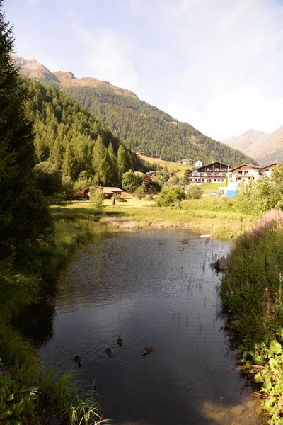 Panorama Des Alpes — Photo