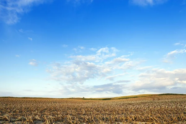 Eine Mauer Eines Alten Gebäudes Aus Roten Ziegeln Und Großen — Stockfoto