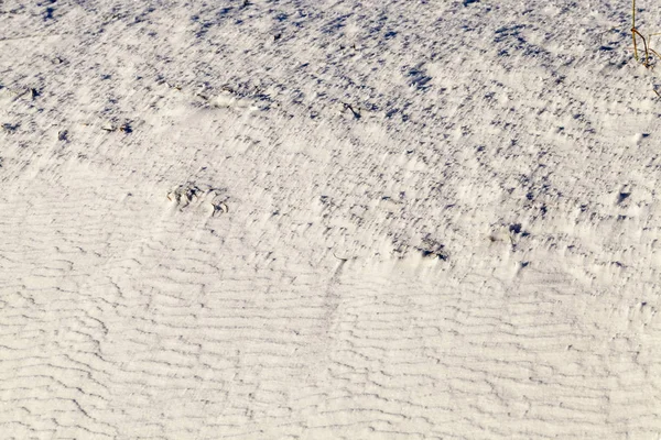 Superfície Neve Temporada Inverno Foto Foi Tirada Close Cima Para — Fotografia de Stock