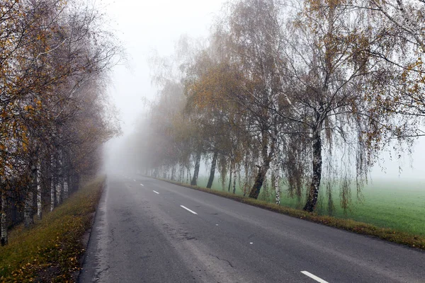 Old Asphalt Road Autumn Heavy Fog Roadway Visible White Markings — Stock Photo, Image