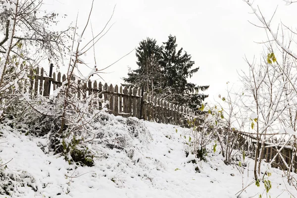 Los Árboles Cubiertos Nieve Después Una Nevada Última Temporada Invierno —  Fotos de Stock