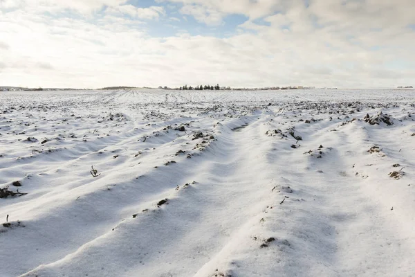 Campo Agrícola Que Foi Arado Durante Inverno Chão Coberto Com — Fotografia de Stock