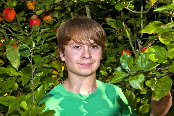 Söt Smart Pojke Trädgården Trädet — Stockfoto