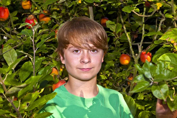 Netter Intelligenter Junge Garten Unter Dem Baum — Stockfoto