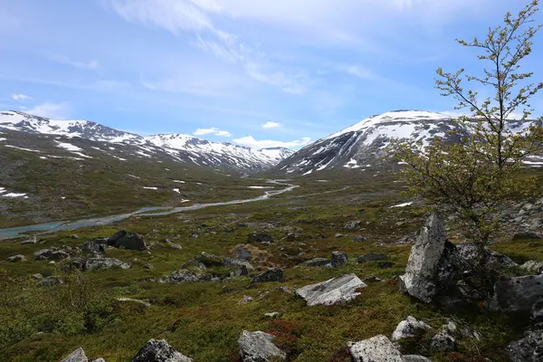 Norwegia Tle Krajobrazu — Zdjęcie stockowe