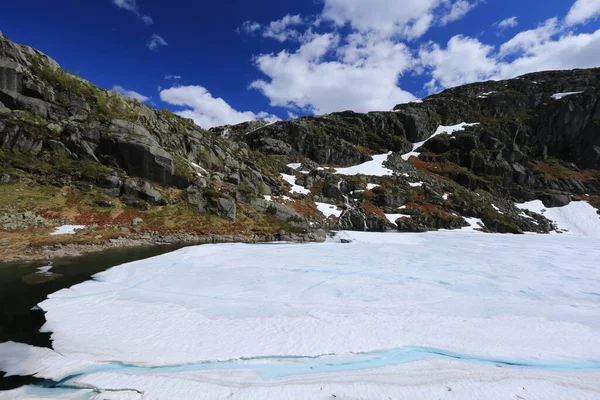 Norvège Sur Fond Paysage Naturel — Photo