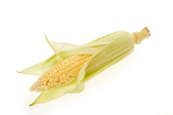 Zralé Ucho Kukuřice Bílém Pozadí Čerstvé Kukuřičné Klasy — Stock fotografie