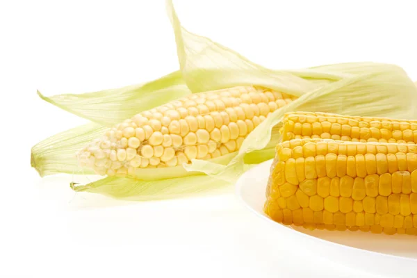 Fresh Ear Corn Plate Boiled Corncobs White Background — Stock Photo, Image