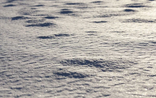Superficie Della Neve Alla Deriva Durante Tramonto Foto Vicino Inverno — Foto Stock