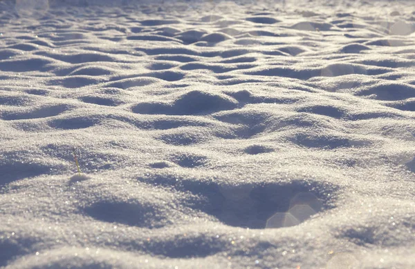 公园里最近下着白雪 这张照片是近距离拍摄的 深度很小 冬天的时候 照片可以从阳光和水的光芒中看到 — 图库照片