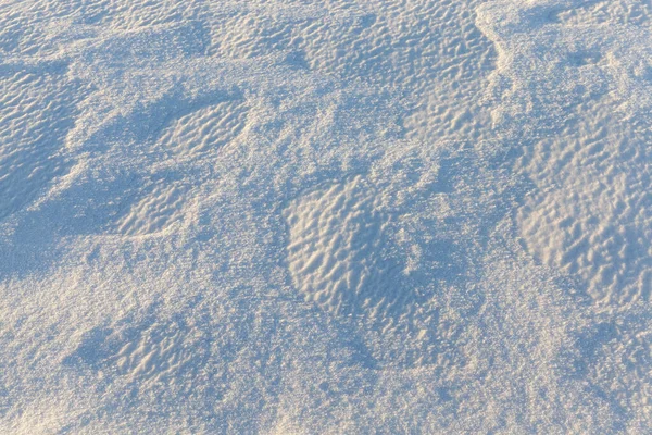 Foto Snö Efter Ett Snöfall Som Ligger Fältet Vintern Smidig — Stockfoto