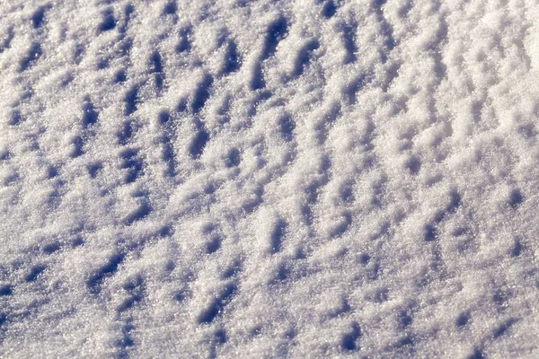 Белый Снег После Выпадения Снега Покрыл Землю Сельскохозяйственном Поле Фото — стоковое фото