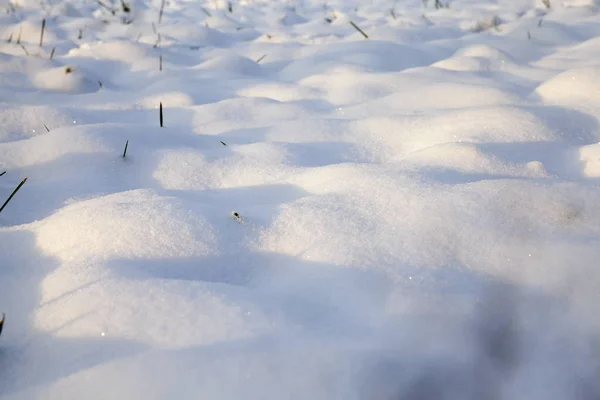 Vita Drivor Nyligen Fallit Snö Parken Fotot Togs Närbild Litet — Stockfoto