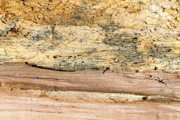 Velho Dividido Com Uma Árvore Machado Com Estrutura Irregular Firewood — Fotografia de Stock