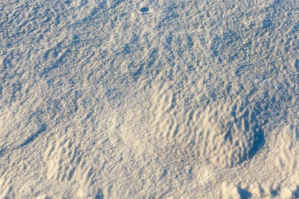 Neve Branca Depois Que Neve Tinha Caído Cobriu Terra Campo — Fotografia de Stock