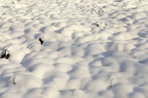 最近公園で雪が降ってる 写真は 近くに撮影され フィールドの小さな深さ 冬の季節 雪の見える植物で覆われていない表面に — ストック写真