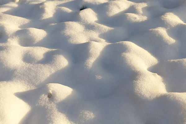 Weiße Schneeverwehungen Park Das Foto Wurde Aus Der Nähe Aufgenommen — Stockfoto