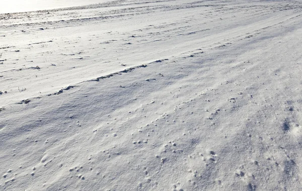 Landbouwveld Bedekt Met Een Laag Sneeuw Laatste Sneeuwval Foto Genomen — Stockfoto