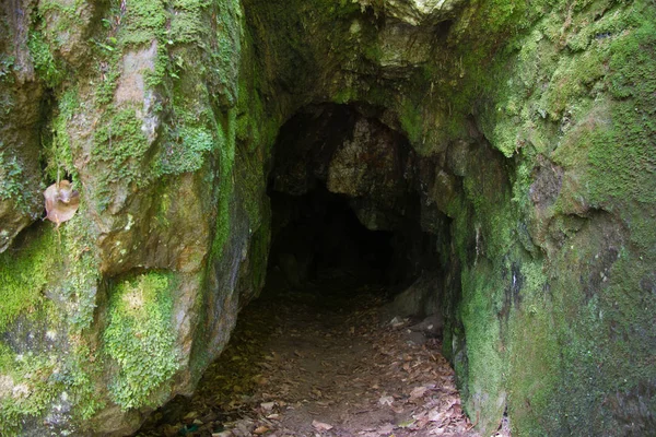 Petite Grotte Dans Une Forêt Styrie — Photo