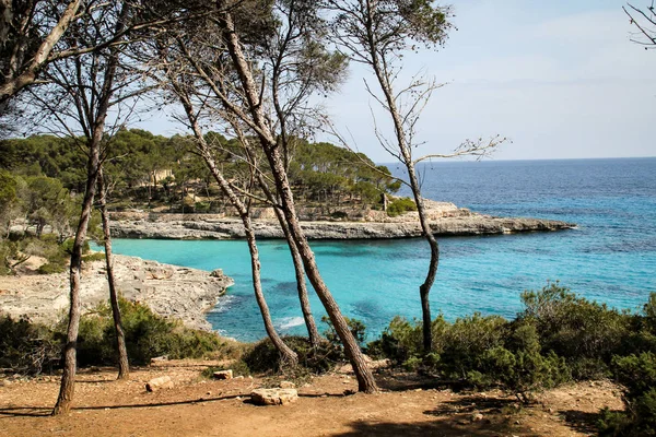 Bay Mallorca Landscape Nature Europe — Stock Photo, Image