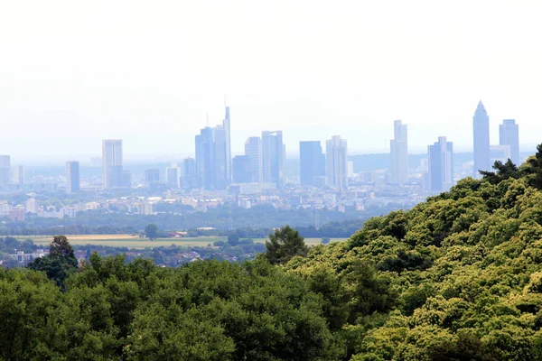 Skyline Van Frankfurt Main Achter Een Klein Bos — Stockfoto