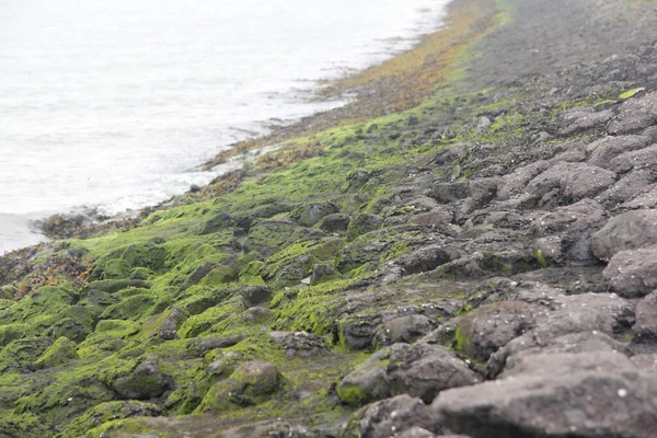 Detailansicht Von Einem Mit Steinen Befestigten Deich Der Nordsee — Fotografia de Stock