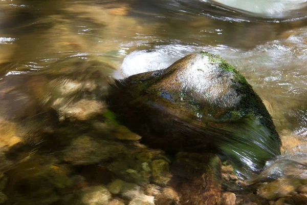 Rocce Fiume Una Foresta Stiria — Foto Stock