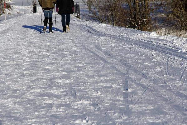 Dos Mujeres Van Dar Paseo Invierno Paseo Por Nieve —  Fotos de Stock