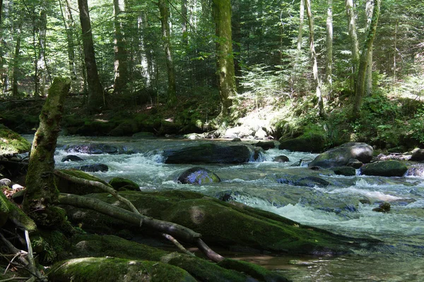 Styria Bir Ormanda Nehir Manzarası — Stok fotoğraf