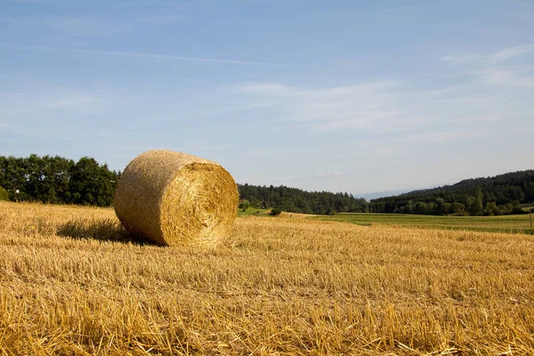 Rouleau Céréales Sur Champ Été Styrie — Photo