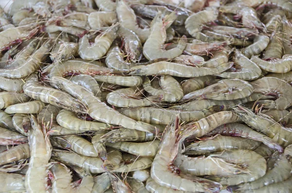 Alimento Mar Mercado Peixes — Fotografia de Stock