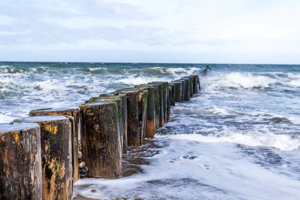 Baltık Denizi Sahili Manzarası — Stok fotoğraf