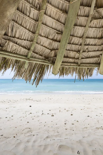 Ein Strohschirm Einem Schönen Tropischen Strand — Stockfoto