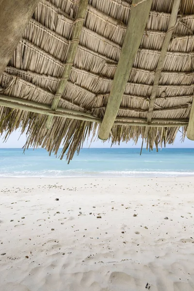 Guarda Chuva Palha Uma Bela Praia Tropical — Fotografia de Stock