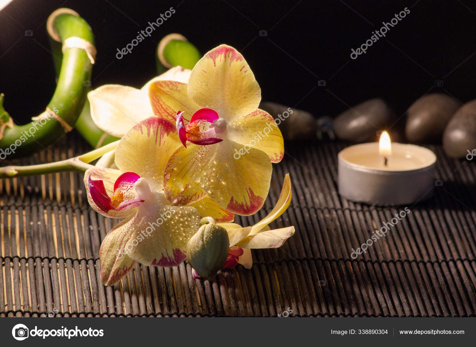 Orquídea Amarela Com Uma Raiz Tapete Bambu fotos, imagens de ©  PantherMediaSeller #338890304