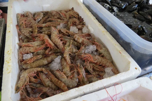 Camarão Fresco Camarão Mar Adriático Mercado Peixe Bar City Montenegro — Fotografia de Stock