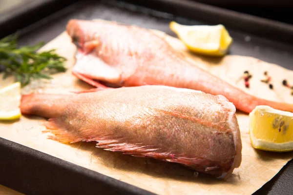 Raw Sebastes Red Grouper — Stock Photo, Image