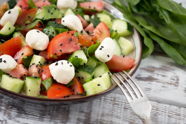 Salat Aus Frischem Bio Gemüse Mit Mozzarella Und Schwarzem Sesam — Stockfoto